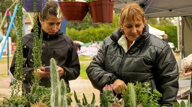 El Paseo del Bosque será sede de tres jornadas a puro viverismo y jardinería