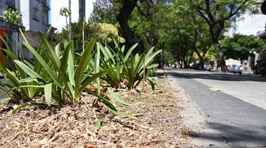 Municipio platense convierte los restos de poda en abono y los vecinos pueden buscarlo en el Parque Ecológico