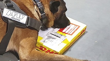Dos canes de la Aduana detectaron cocaína y éxtasis en envíos postales