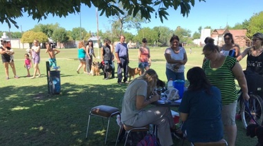 La Plata: Municipio brindará una nueva jornada gratuita veterinaria en Hernández