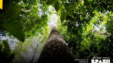 Brasil destinará 400 millones de dólares en plan de seguridad para la Amazonia