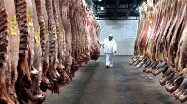 Carne: "Es una medida necesaria para que precios internacionales no impacten en el consumo" dice Gobierno