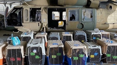 Denuncian que EEUU abandonó a sus perros de servicio en el aeropuerto de Kabul
