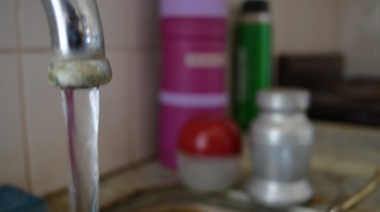 ¿Agua con larvas en La Plata?: Concejal pide informes por la "potabilidad" de la provisión de la empresa ABSA