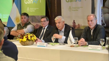 "Los productores tienen garantizado el gasoil, los fertilizantes y fitosanitarios", dijo Domínguez
