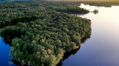 Aumentó la deforestación en la Amazonía brasileña en el primer trimestre de 2022