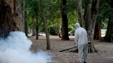 Ya son 35 los casos de dengue en la ciudad de La Plata