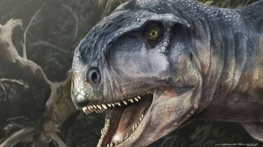 Afirman que la mayoría de los dinosaurios eran de sangre caliente
