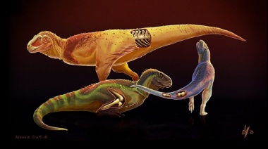 Identifican enfermedades en dinosaurios depredadores que vivieron en la Patagonia a fines del período Cretácico