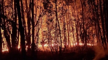 Incendios en Parque Pereyra Iraola: Preocupación de Garro en el marco de los desafíos ambientales