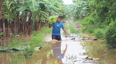 Las catástrofes se cuadruplican y merman la agricultura