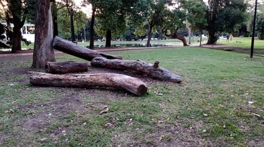 La Plata amaneció con mejores condiciones meteorológicas luego de varias horas de tormentas