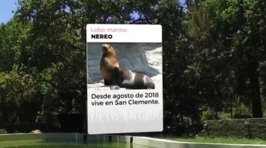 Innovadora web muestra la transformación del zoo en un bioparque