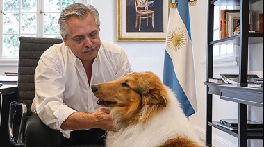 ¡Falta el gato de Schrödinger!: "Javo" y el "Capitán Beto" sacaron sus perros para disputar el partido