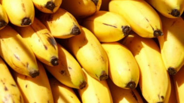 Tras alcanzar acuerdo de pago, la importación de bananas bolivianas se retomaría la semana próxima