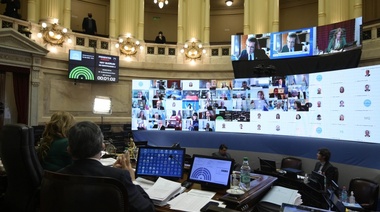 El Senado aprueba veinte decretos del gobierno en la primera sesión virtual de la historia