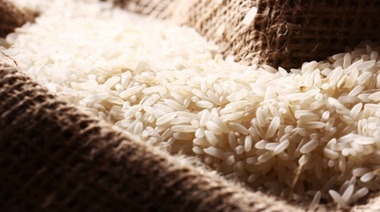 Producción de arroz retrocedió 7% durante la campaña 2021-2022 por falta de lluvias durante verano