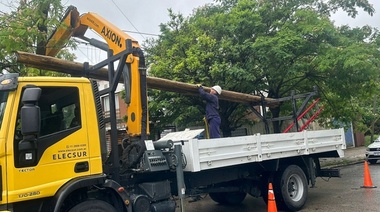 EDELAP ya restituyó el servicio al 80% de los usuarios afectados por la severa tormenta