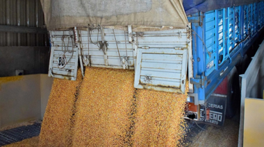 Oficializan el aumento de 35% para el transporte de cargas de cereales y oleaginosas