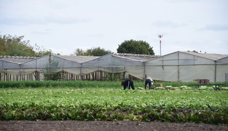 Completaron el Relevamiento Florihortícola Platense 2025