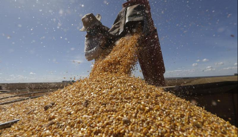 Retenciones cero por un rato: el campo, otra vez fuera del negocio