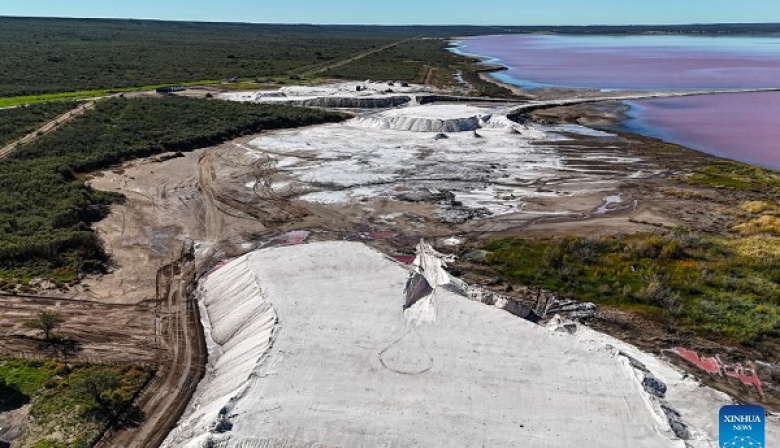 Provincia de La Pampa participa en la CIIE con su carne bovina como emblema de identidad productiva