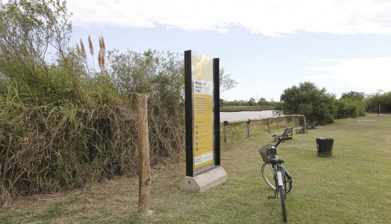 Ciudades en red: Buenos Aires comparte estrategias de adaptación climática en el Subgrupo de Resiliencia de G-NETS