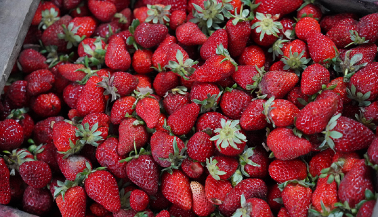 Ofertas en carnes, lácteos y frutas: el Mercado Bonaerense Fijo La Plata actualizó su lista de precios