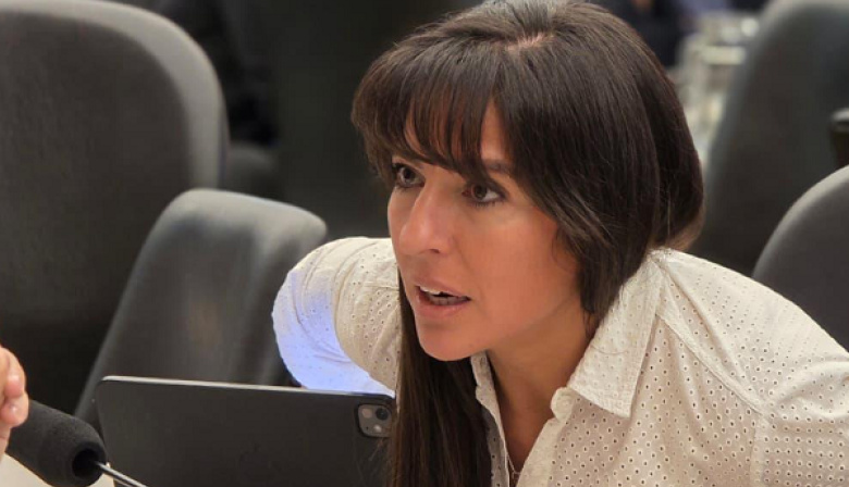 En Diputados, la UCR tendrá una expresión testimonial: seis legisladores