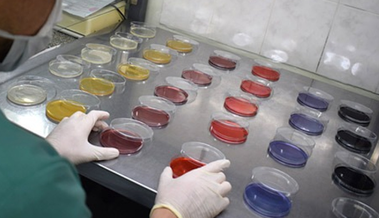 La urgencia de controlar el agua en Buenos Aires ante la presencia de arsénico