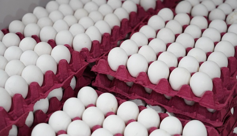 El Mercado Bonaerense Fijo La Plata presenta combos, ofertas y promocione