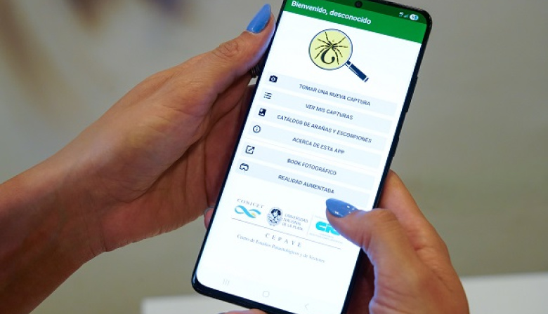 Alacranes en La Plata: recomendaciones para evitar accidentes