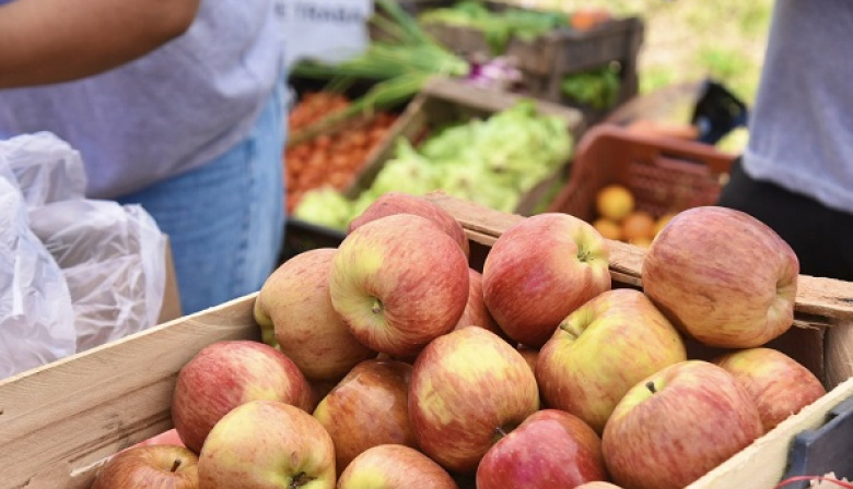 Nuevas oportunidades de ahorro en el Mercado Bonaerense Fijo de La Plata