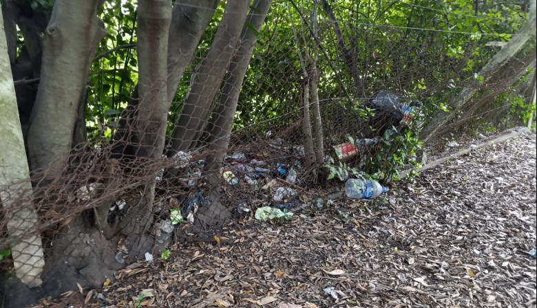 En pocas semanas, los reclamos vecinales en La Plata Reporta superaron los 2500