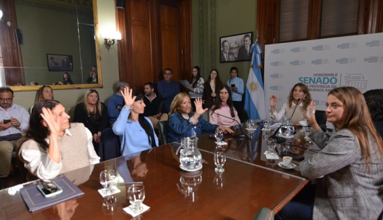 El Senado bonaerense constituyó la comisión de Igualdad Real de Trato y Oportunidades