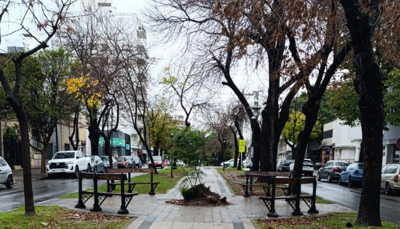 Nivel de alerta 'amarillo' por lluvias en La Plata