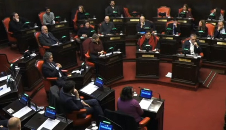 Emergencia sanitaria: Ishii acusó a Kicillof y abrió una interna en el Senado
