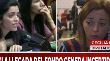“Marcos Peña hace de Martínez de Hoz”, dijo la diputada Cecilia Moreau