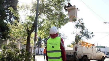 La Plata: Garro anunció que se intervinieron 7 mil árboles en trabajos de poda, y que el programa se encamina a un récord
