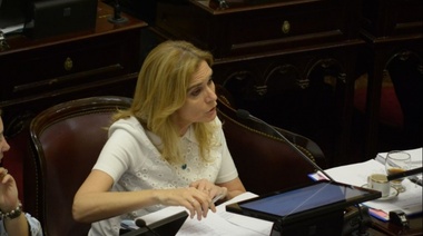 Cruzan a Alperovich: "Ha quedado claro que en esta sesión hay muchos que quieren que al Presidente le vaya mal", dice senadora Elías de Pérez