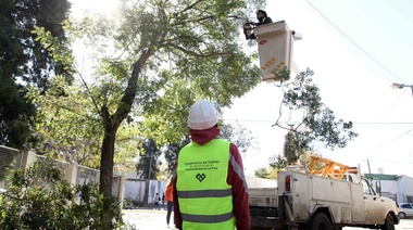 La Plata: Municipio alcanzó el 50% del objetivo récord de poda planificado para este año