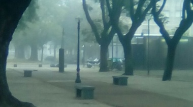 La Plata: Rápida respuesta comunal en limpieza de la plaza de 1 y 66, en donde hubo un festival trans