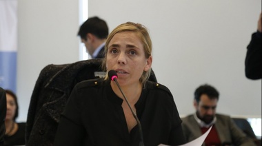 Interna rionegrina: Soria cargó contra Pichetto por tener "reclamos tibios" por el recorte en las prestaciones sociales y acompañar el "ajuste"