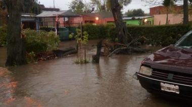 En La Plata: Cerca de varios arroyos ingresó agua a las viviendas
