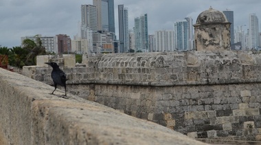 La Concha negra amenaza los históricos muros de Cartagena de Indias
