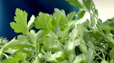 Se desarrollará este martes una feria de productos frutihortícolas en Plaza Moreno