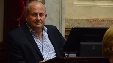 Michetti pide que la Justicia sea "precisa y rápida" en la denuncia contra Marino