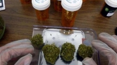 El Ministerio de Seguridad habilitó el primer centro destinado a elaborar cannabis medicinal