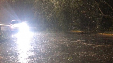 En La Plata, realizan tareas de asistencia y prevención ante la intensa tormenta: Se mantiene el Alerta Naranja