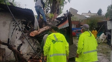 Temporal de La Plata: Si bien en la madrugada cesó el alerta naranja, cayeron más de 350 árboles y las lluvias seguirán durante el fin de semana